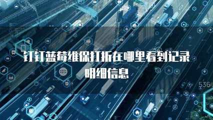 多乘單CRM返點查詢與信息系統(tǒng)運(yùn)行維護(hù)服務(wù)詳解